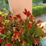 Guest House Fetie