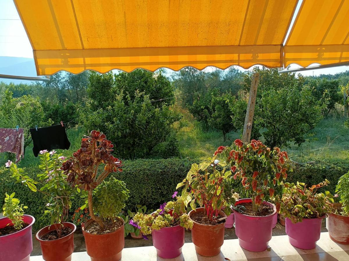 Ferienhaus Fetie