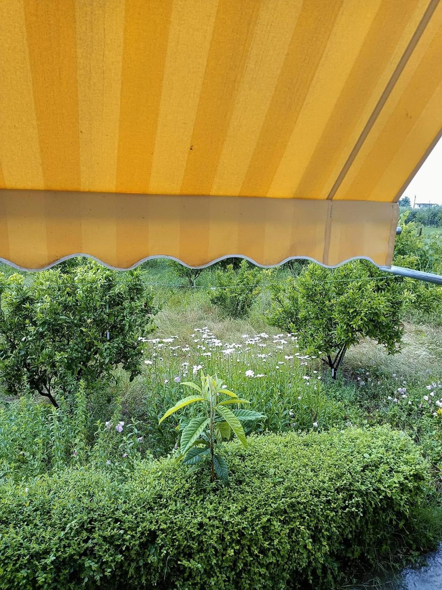 Fetie Ferienhaus Berat